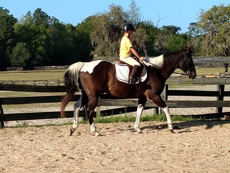 You can take a riding lesson or go on a trail ride at the Happy Acres Ranch.