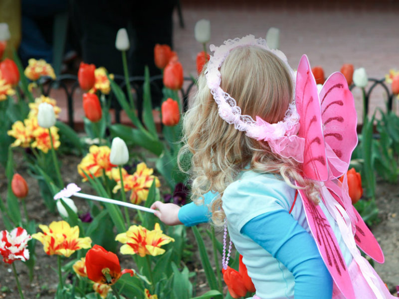 Tulip Fairy and Elf Festival