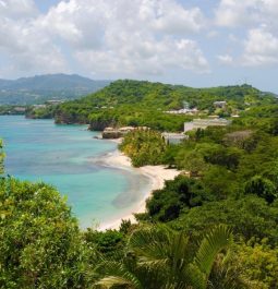 Lush vegetation covers island