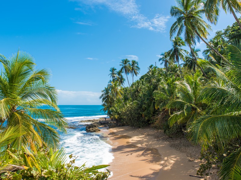 Gondoca-Manzanillo National Wildlife Refuge,  Manzanillo Beach, Costa Rica