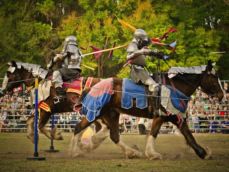 Hoggetown Medieval Faire