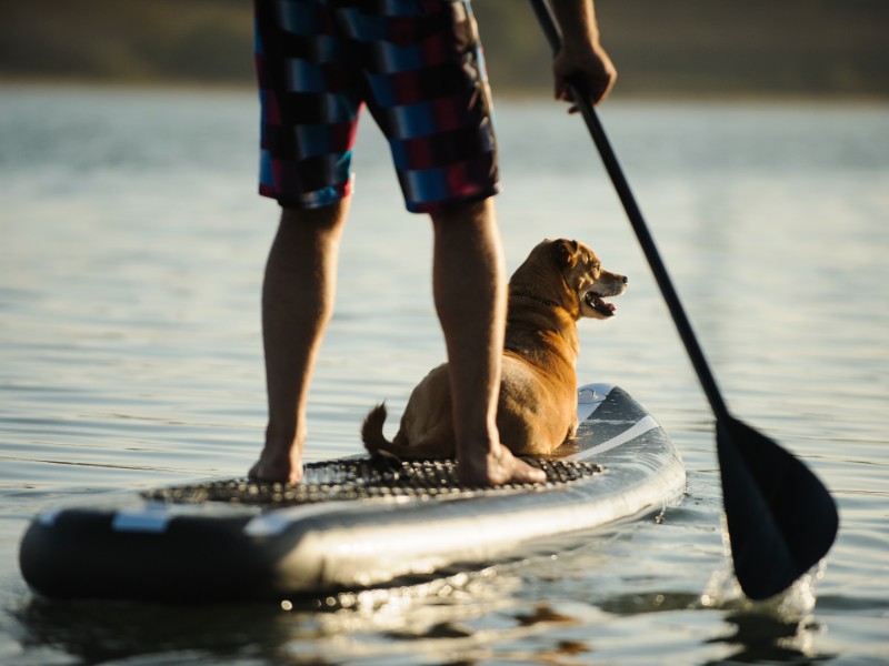 Paddle boarding