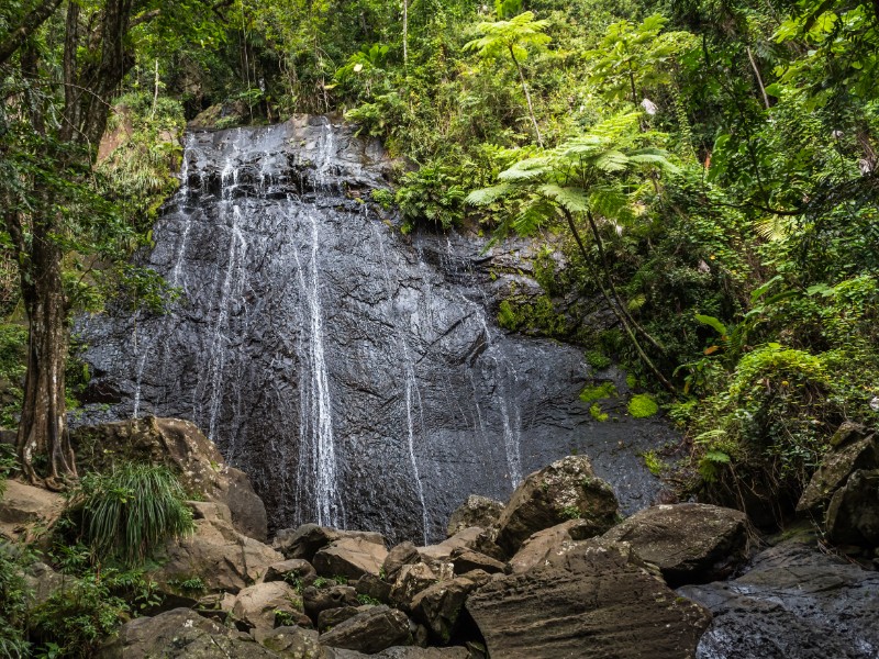 Waterfall in the rainforest, El Yunque National Park, Puerto Rico