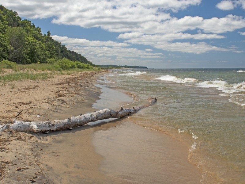 beach at Saugatuck Dunes State Park 