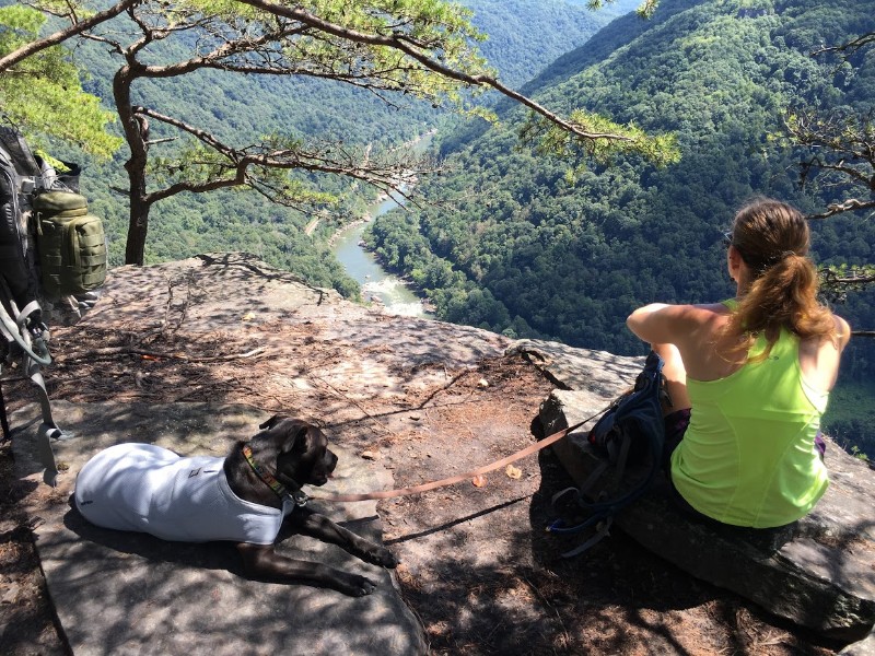 Overlooking the New River Gorge