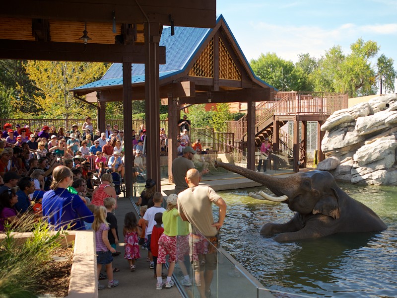 Denver Zoo