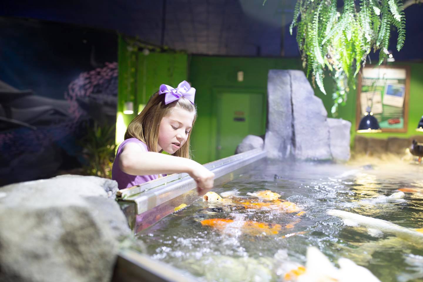 7 Best Aquariums in Texas – Holidays