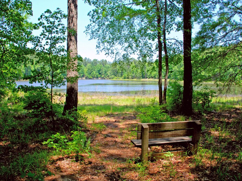 Trail at Mistletoe State Park