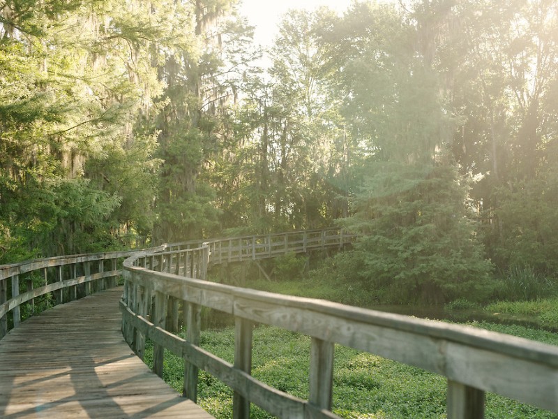 Phinizy Swamp bridge view