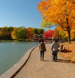 people walking along beaver lake in montreal with yellow fall foliage