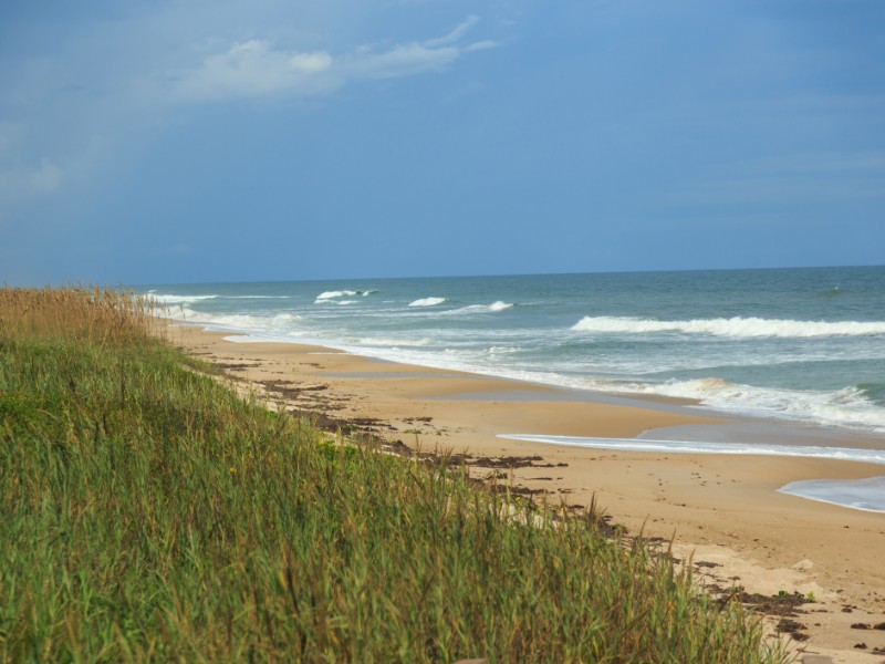 Canaveral National Seashore