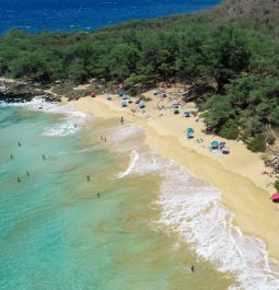 aerial view of little beach showing beach umbrellas