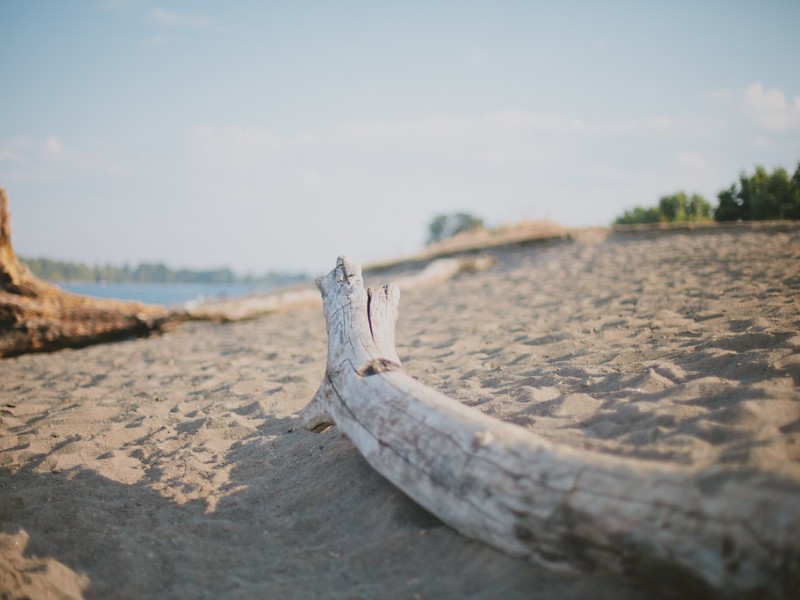 Beach on Sauvie Island, Oregon