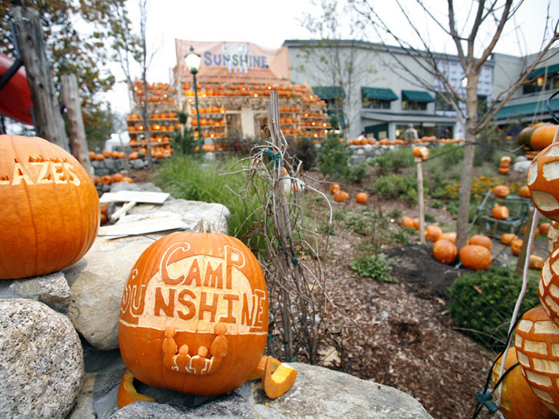 Camp Sunshine Pumpkin Festival