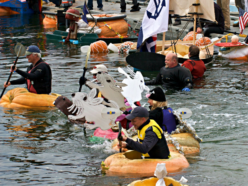 Damariscotta Pumpkinfest