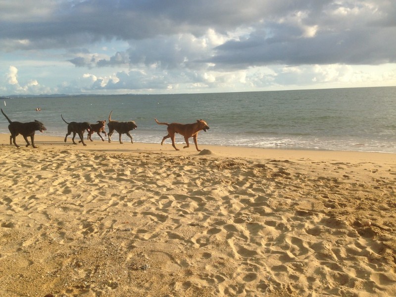 Anasco Beach, Puerto Rico