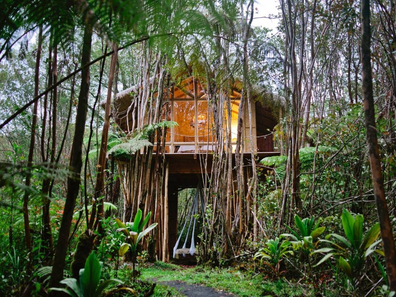 Dreamy Tropical Tree House Airbnb Maui