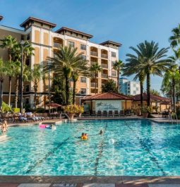 swimming pool surrounded by palm trees at a resort