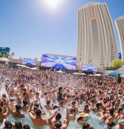 pool party at the MGM Grand in Vegas