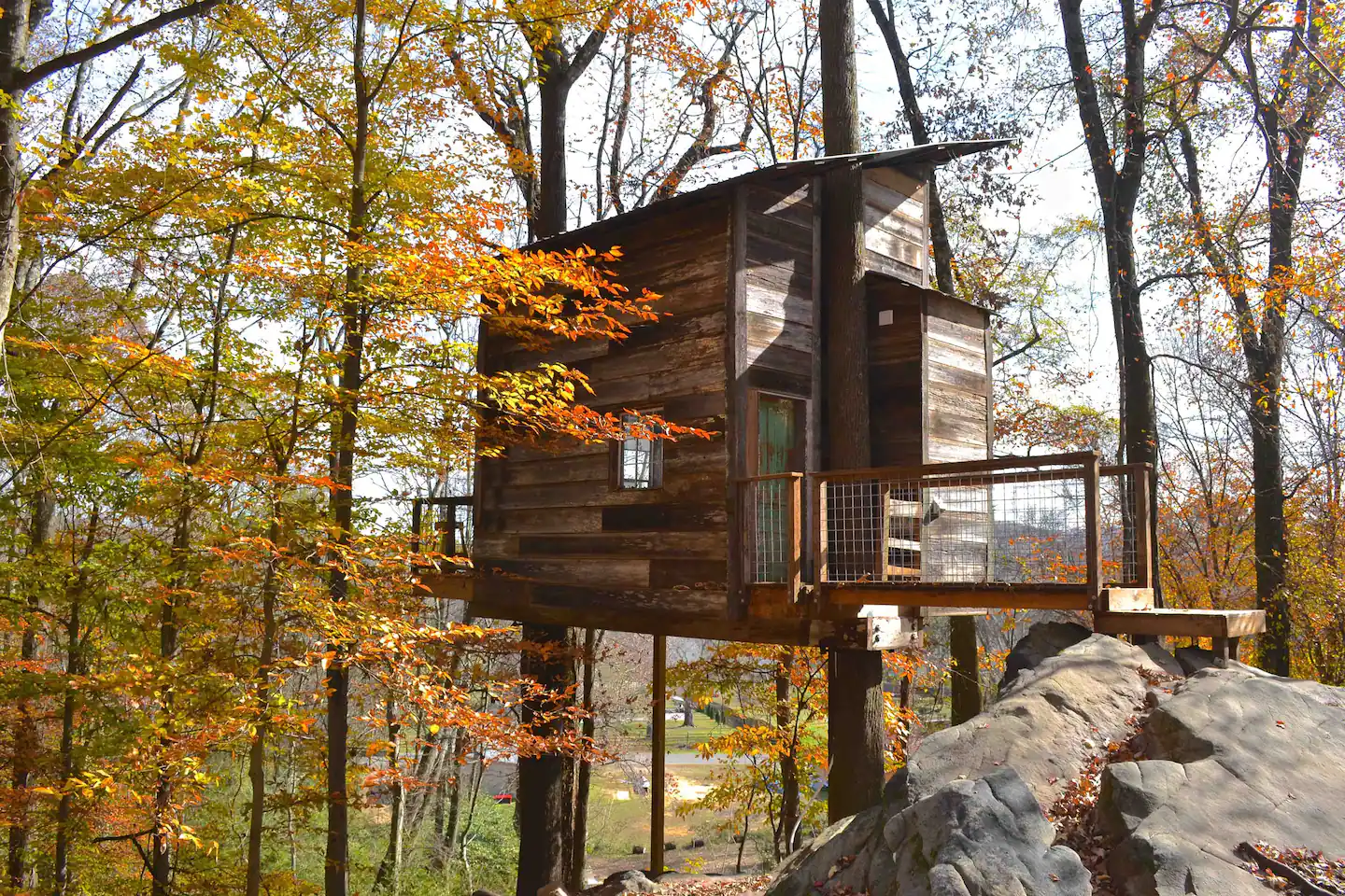 Treetop Hideaways: Luna Loft