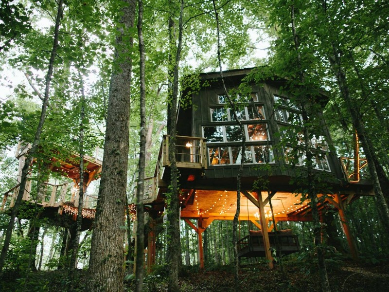 Majestic Treehouse Retreat