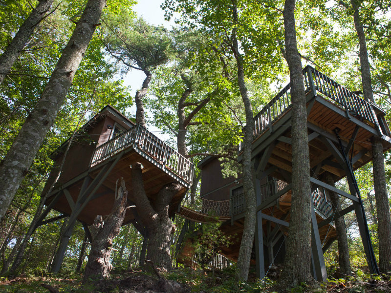 Seguin Tree Dwellings