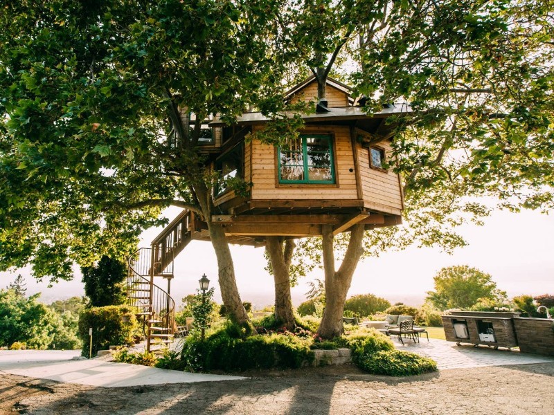 Silicon Valley Treehouse