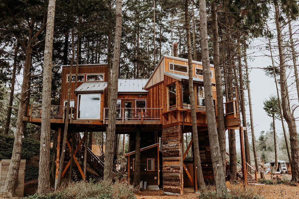 Treehouse-Eagles Perch Over the Water