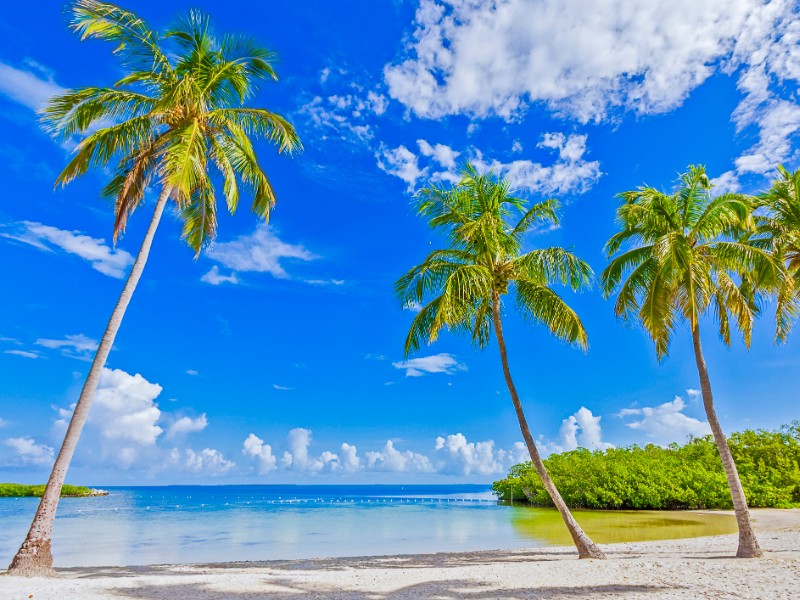 Founders Park, Islamorada, Florida Keys