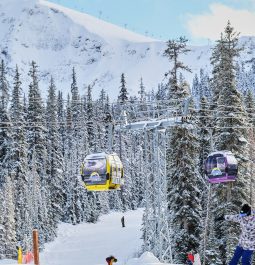 Snowy mountain with skiers and gondola