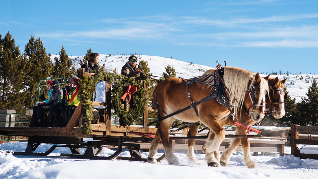 Horse-drawn sleigh rides at C Lazy U Ranch