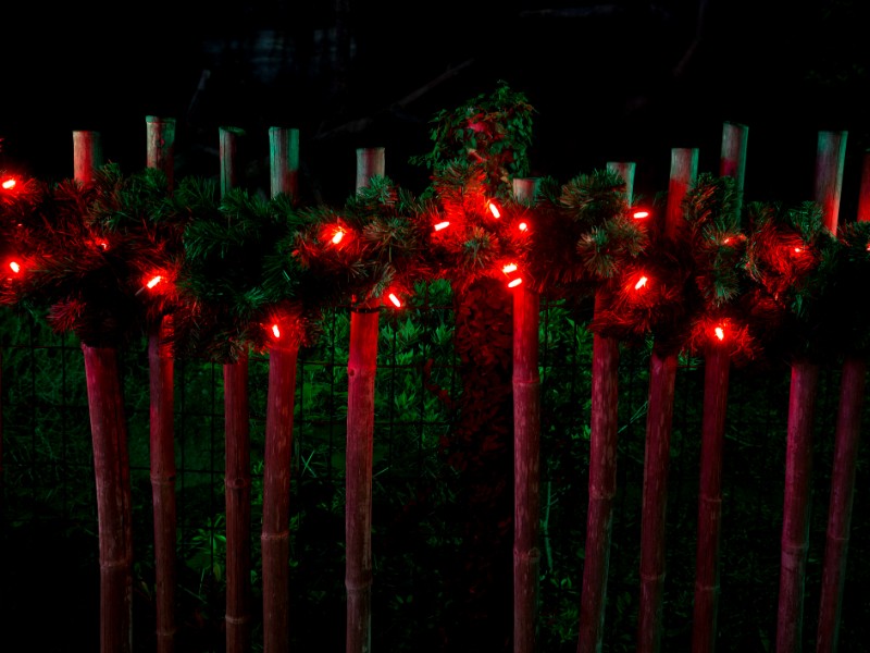 Decorated with Christmas red lights on fence