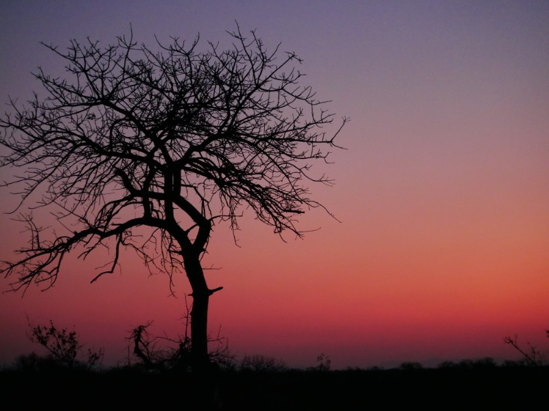 Sunset at Kruger National Park, South Africa