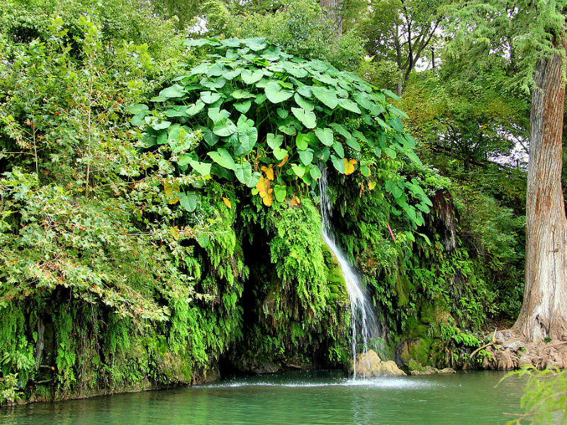 Krause Springs