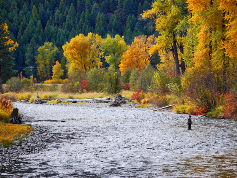 Fly fishing in the fall on Rock Creek, Montana