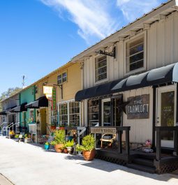 Small town stores line small side street