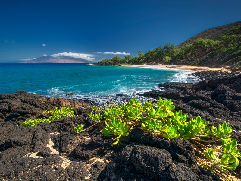 Little Beach, Makena State Park, South Maui