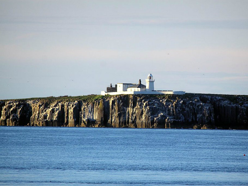 Farne Islands