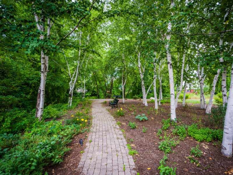 Walkway at Bass Island Park