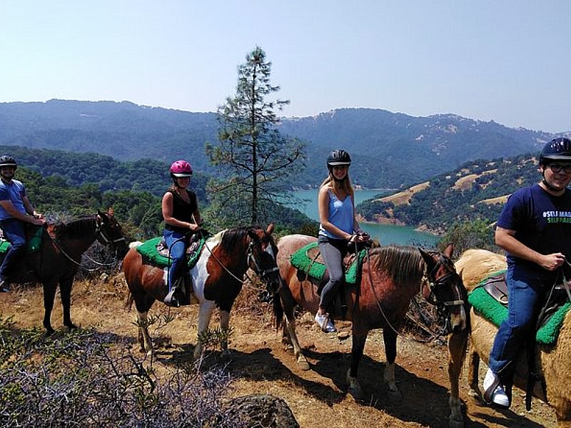 Sonoma Horseback-Riding Tour