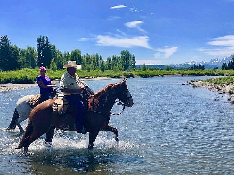 Horseback Riding in the Bridger-Teton National Forest