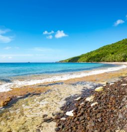 sandy and shell covered beach