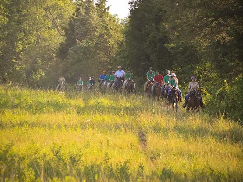 Confederate Trails of Gettysburg 2 Hour Guided Battlefield Horseback