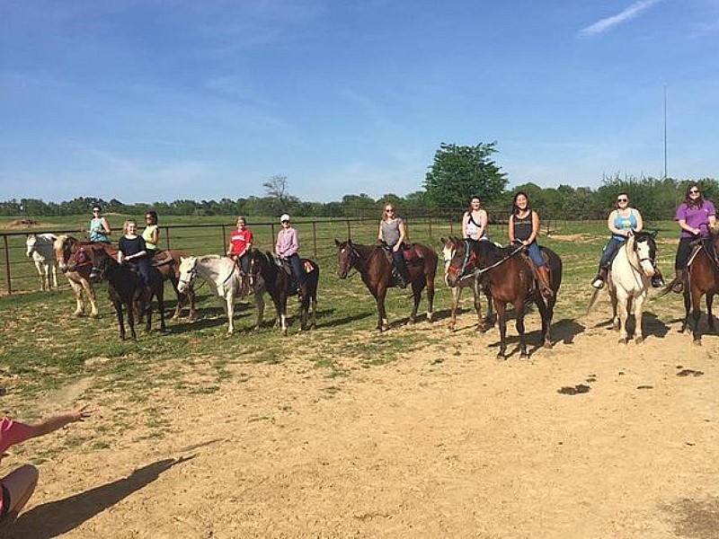 Memphis Trail Ride by Horseback