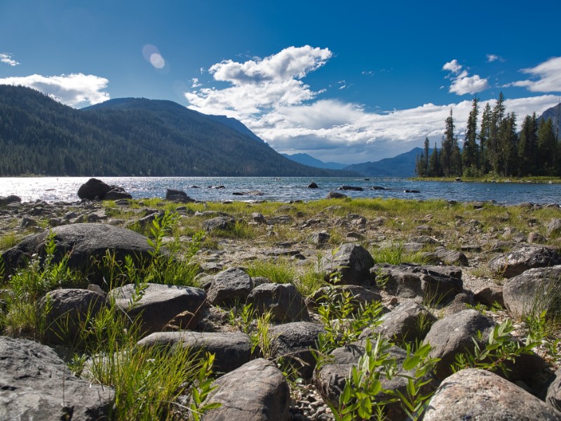 View at Lake Wenatchee State Park