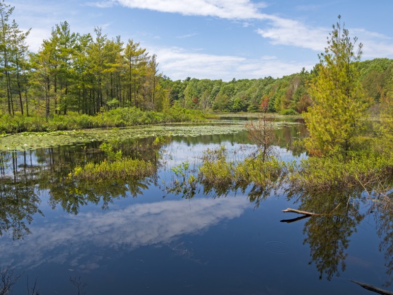 Lake at Muskegon State Park