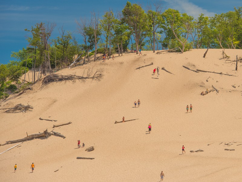 Dunes at Warren Dunes States Park