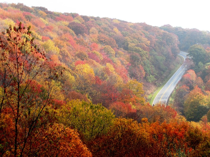 Cherohala Skyway in the fall