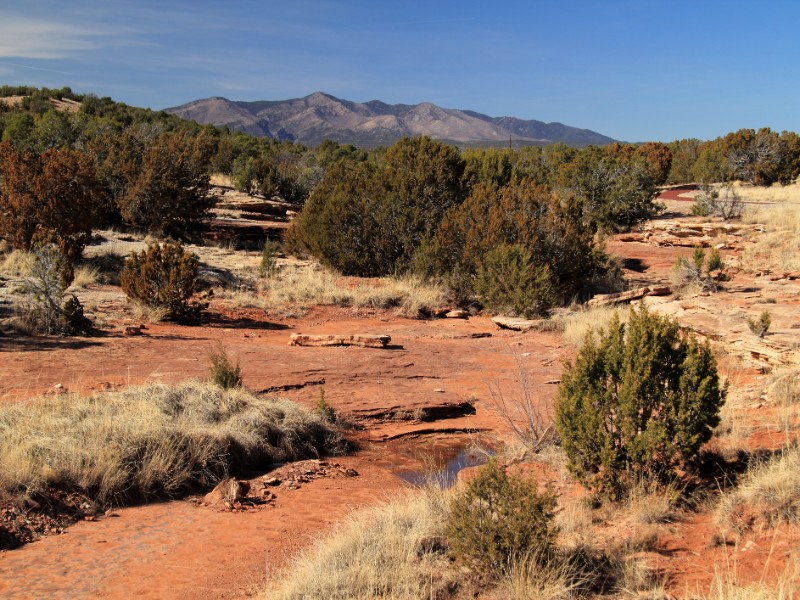 Manzano Mountains