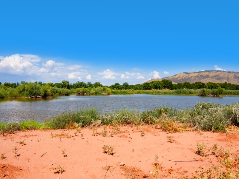 Little lake at Rio Grande Nature Center State Park